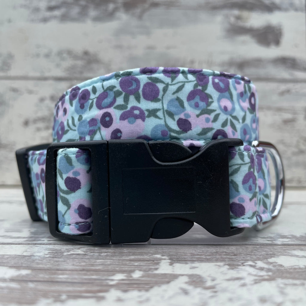 Blueberry - Dog Collar