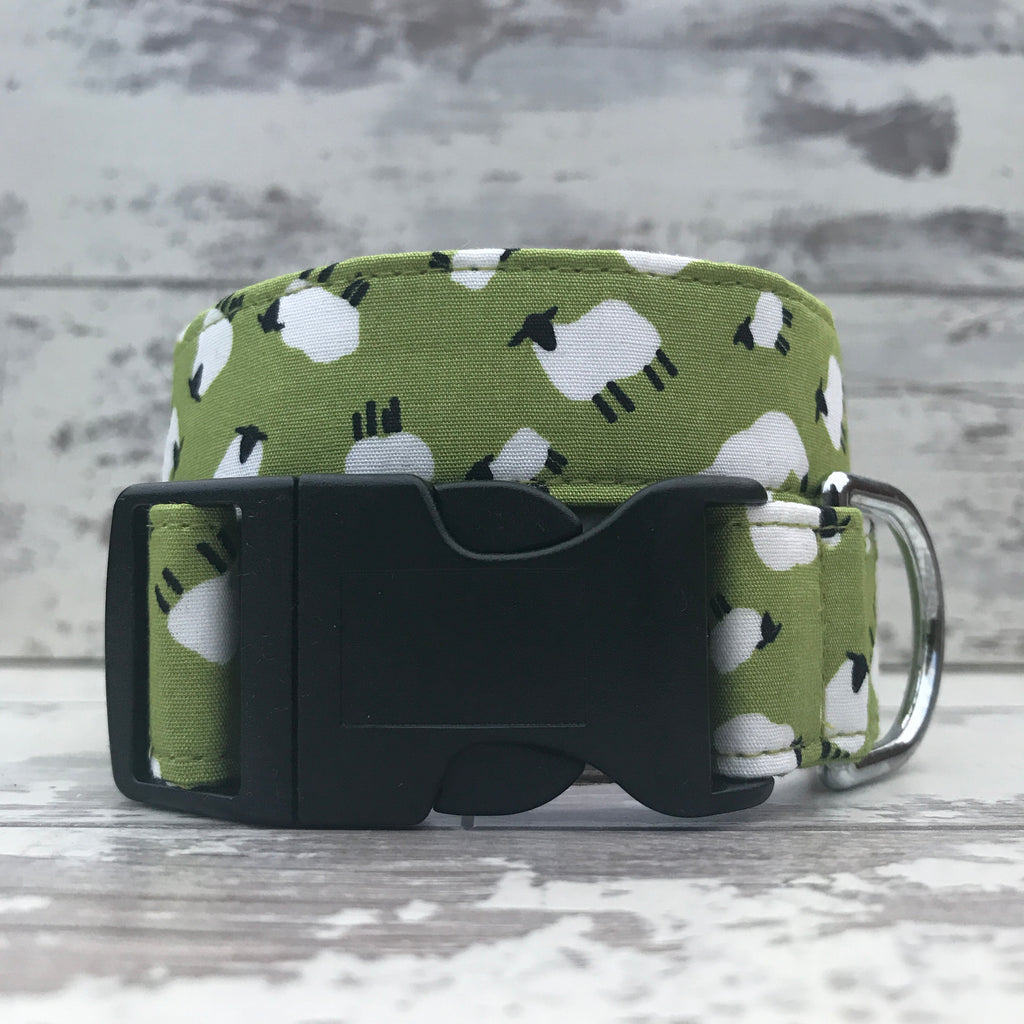 Sheep on the Green - Dog Collar