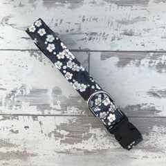 Midnight Blossom - Dog Collar