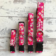 Japanese Cherry Blossom - Dog Collar