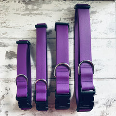 Purple Dirty Dog Collar