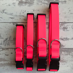 Neon Pink Dirty Dog Collar