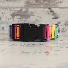 The Black Dog Company Handmade Dog Collars Small / Plastic Rainbow Stripes - Dog Collar