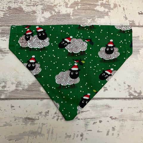 Festive Sheep - Green Bandana