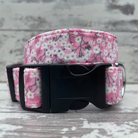 Light Pink Blossom - Dog Collar
