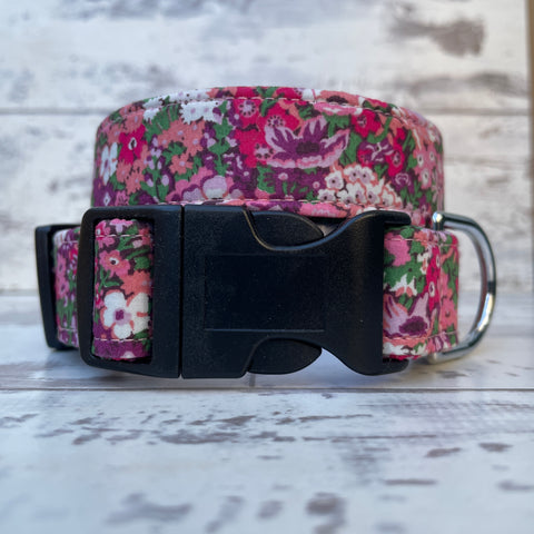 Liberty Thorpe Hill - Dog Collar