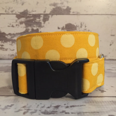 The Black Dog Company Handmade Dog Collars Sunshine Spots - Dog Collar